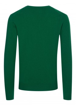 Gant pullover green