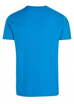 Champion t-shirt blue