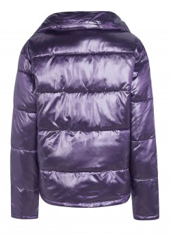 Champion jacket purple